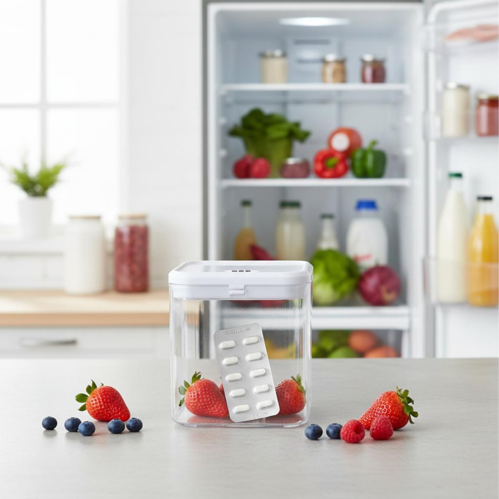Clear Lockable Box Versatile L - огляд і ціна Food & Snacks Coloring